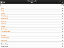 Tablet Screenshot of bicyclesouth.com